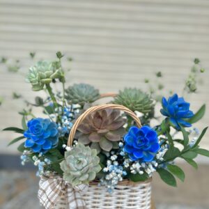 Giỏ hoa sen đá - Mẫu 11