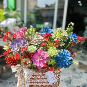 Giỏ hoa sen đá - Mẫu 12