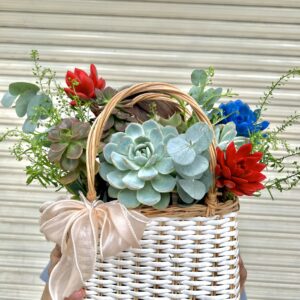 Giỏ hoa sen đá - Mẫu 8