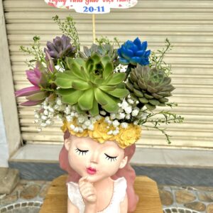 Giỏ hoa sen đá - Mẫu 9