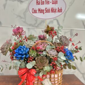 Giỏ Hoa Sen Đá - Mẫu 17